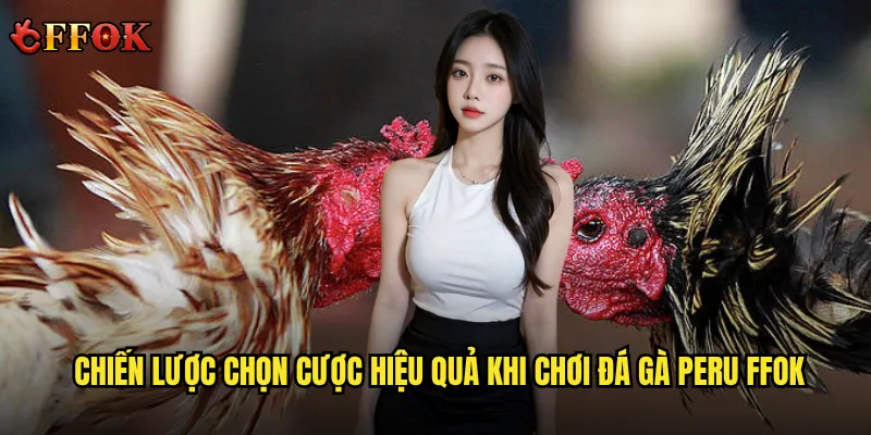 Chiến lược chọn cược hiệu quả khi chơi đá gà Peru ffok