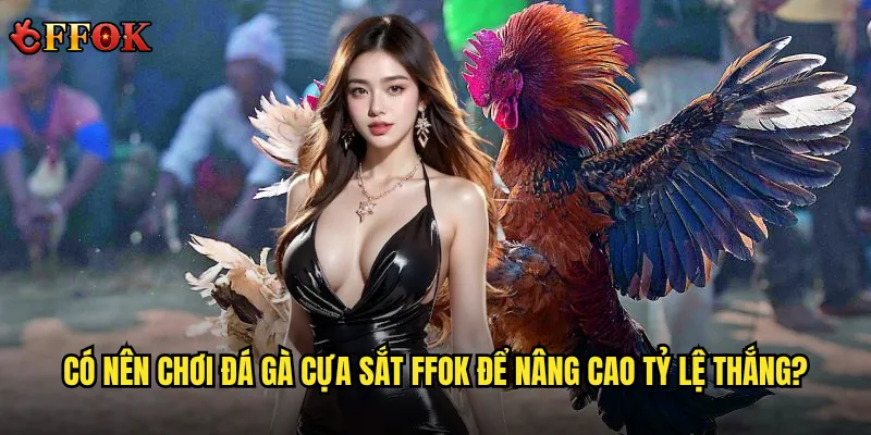 Có nên chơi đá gà cựa sắt ffok để nâng cao tỷ lệ thắng?