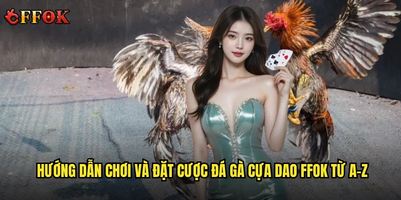 Đá gà cựa dao ffok có phải là hình thức cược “mạo hiểm sinh lời”? 3 Hướng dẫn chơi và đặt cược đá gà cựa dao ffok từ A-Z