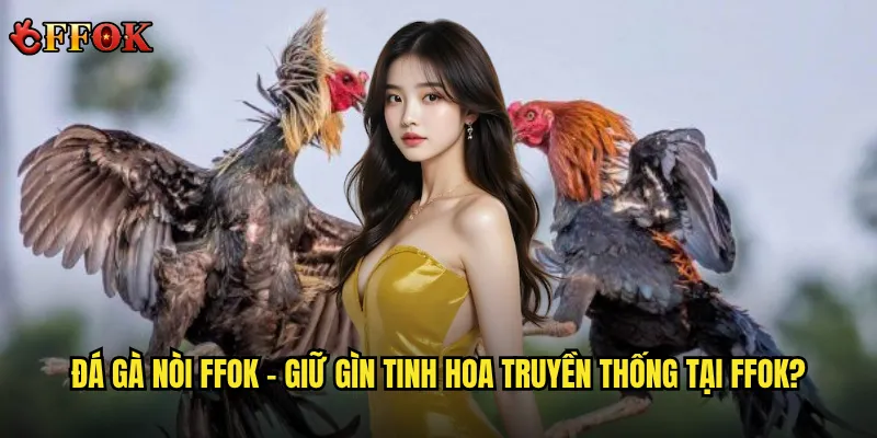 Đá gà nòi ffok – Giữ gìn tinh hoa truyền thống tại ffok?